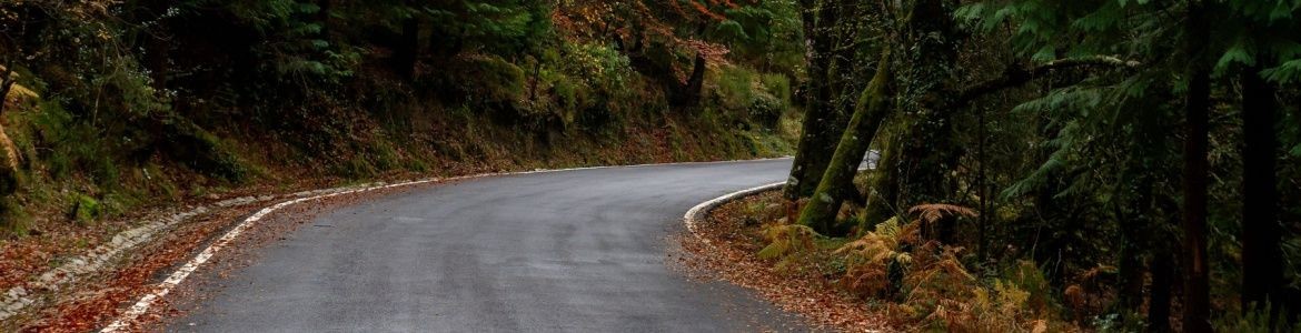 Carretera Bosque Albergaria  Portugal