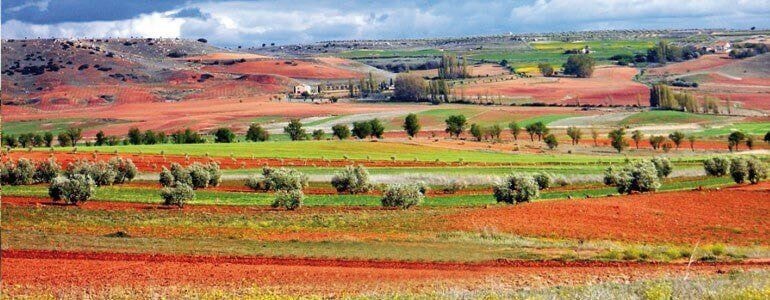 Ruta en coche Don Quijote de la Mancha, Montiel
